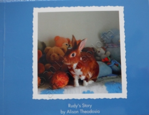 Rudy's Story